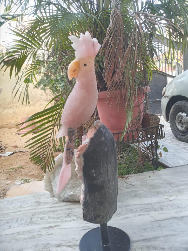 Rose Quartz Macaw Sculpture - Aventurine, Sodalite & Apophyllite Stand - ART AKASHA STUDIO