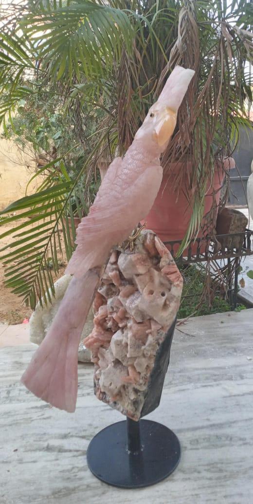 Rose Quartz Macaw Sculpture - Aventurine, Sodalite & Apophyllite Stand - ART AKASHA STUDIO