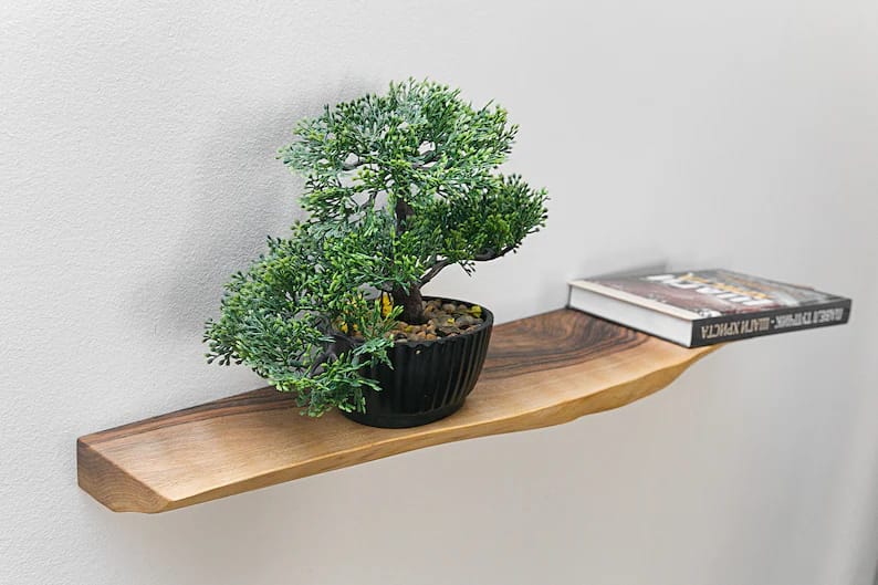 Live Edge Rustic Solid Elm Wood Floating 1 piece Shelves – Wall Mounted with Invisible Bracket | Natural Finish by Sahaj Hast - ART AKASHA STUDIO