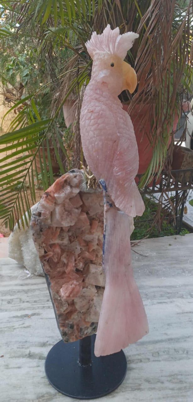 Rose Quartz Macaw Sculpture - Aventurine, Sodalite & Apophyllite Stand - ART AKASHA STUDIO