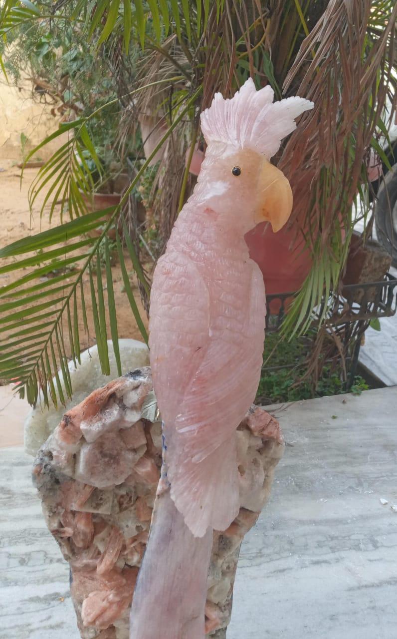 Rose Quartz Macaw Sculpture - Aventurine, Sodalite & Apophyllite Stand - ART AKASHA STUDIO