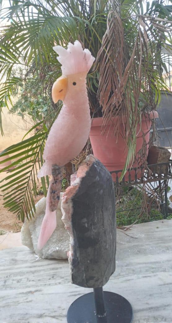 Rose Quartz Macaw Sculpture - Aventurine, Sodalite & Apophyllite Stand - ART AKASHA STUDIO