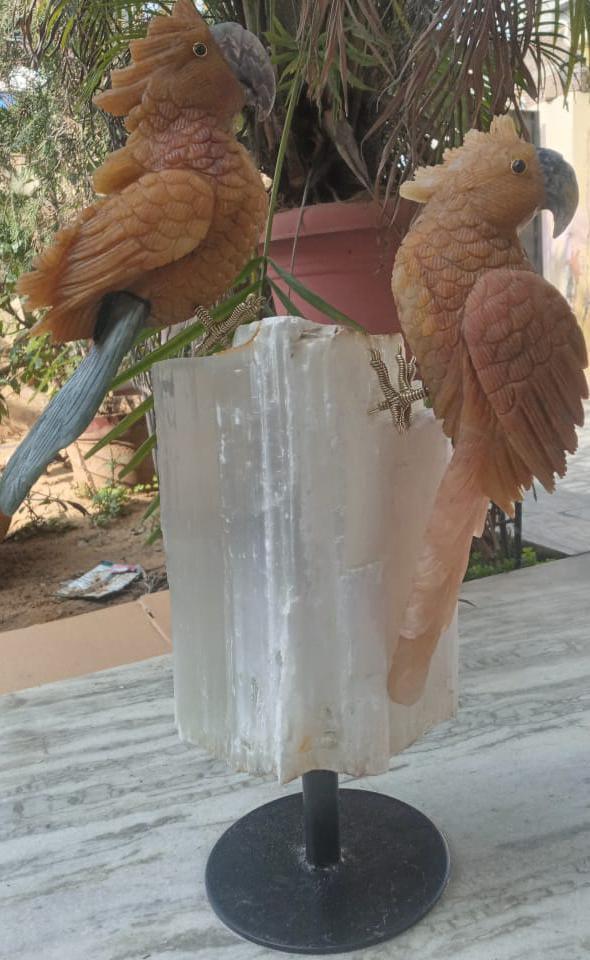 Yellow Aventurine Parrot Pair on Selenite Stand - Sodalite Accents, Handcrafted - ART AKASHA STUDIO