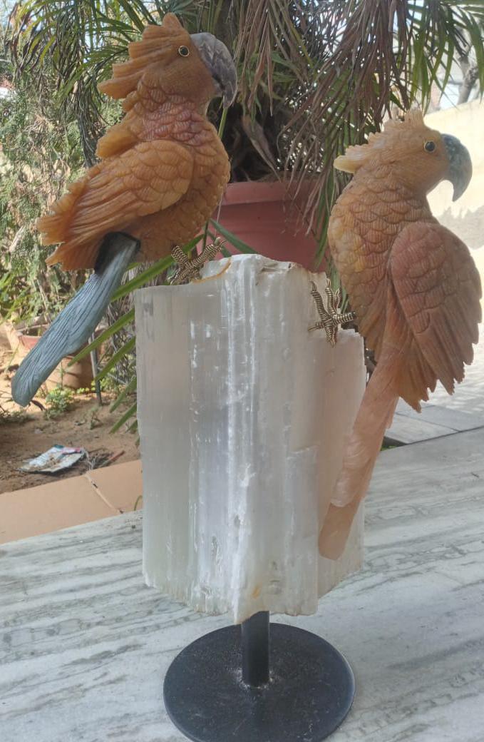 Yellow Aventurine Parrot Pair on Selenite Stand - Sodalite Accents, Handcrafted - ART AKASHA STUDIO