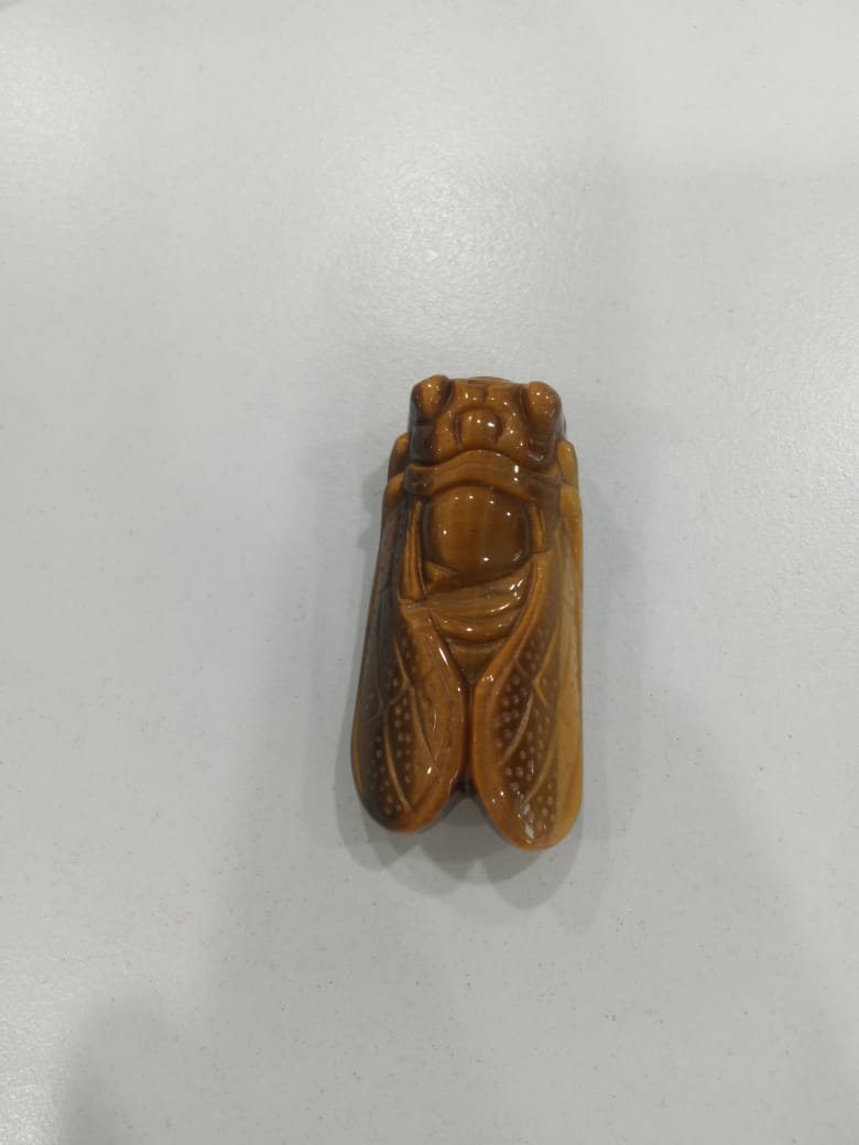 SahajHast 3D Carved Natural Yellow Tiger Eye Cicada Pendant- Lucky Charm Gift - ART AKASHA STUDIO