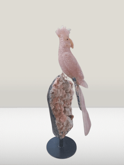Rose Quartz Macaw Sculpture - Aventurine, Sodalite & Apophyllite Stand - ART AKASHA STUDIO