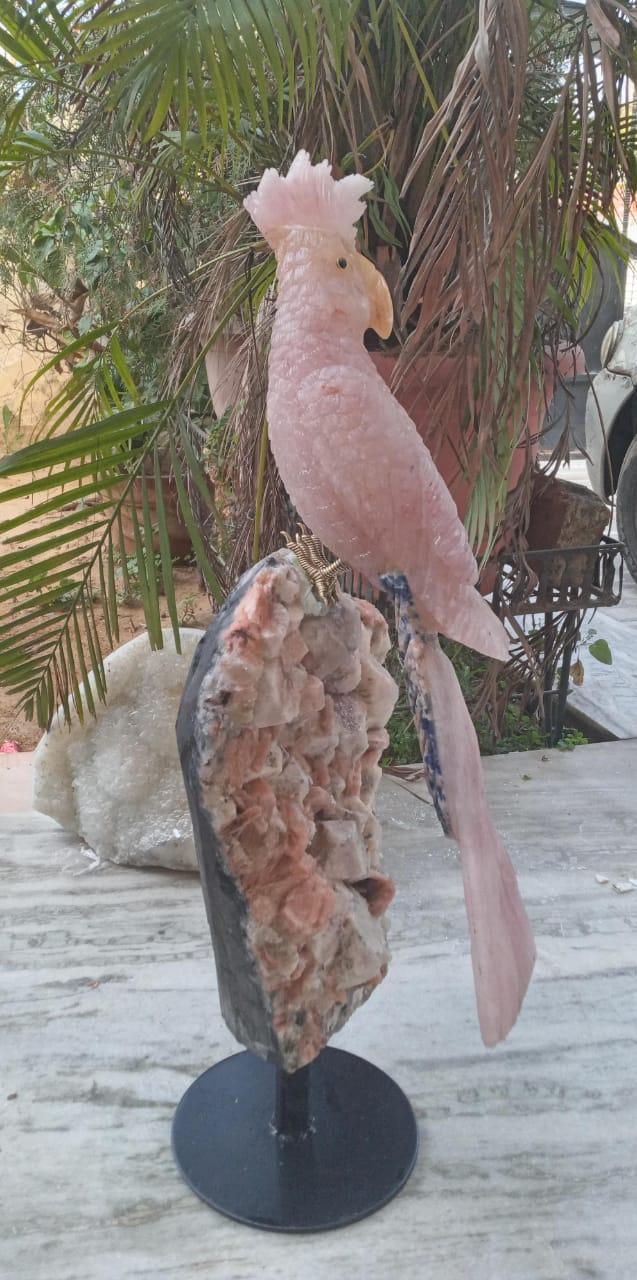 Rose Quartz Macaw Sculpture - Aventurine, Sodalite & Apophyllite Stand - ART AKASHA STUDIO