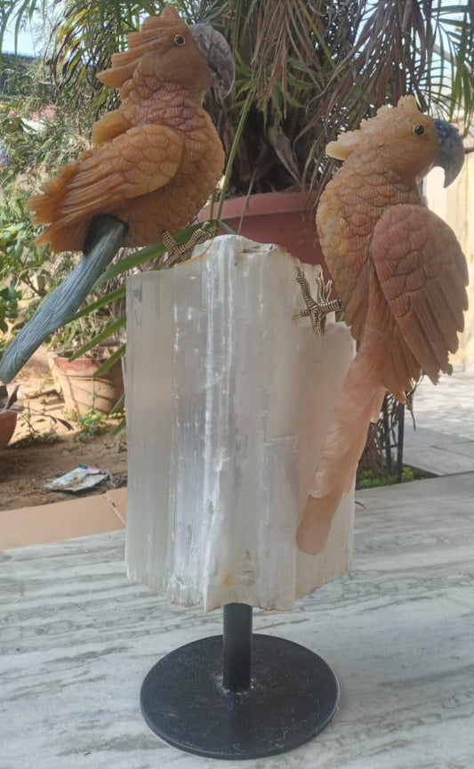 Yellow Aventurine Parrot Pair on Selenite Stand - Sodalite Accents, Handcrafted - ART AKASHA STUDIO